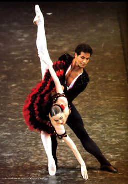 20060124100807-julio-bocca-tamara-rojo.jpg