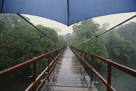 el_puente.jpg